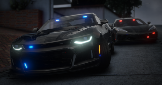 Interceptor Units